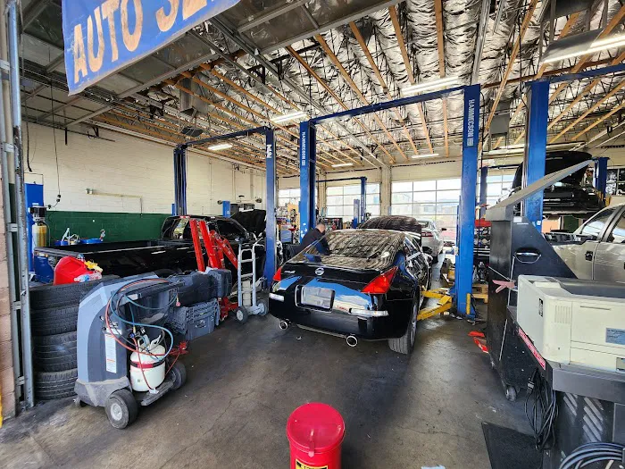 Purrfect Auto Service 2