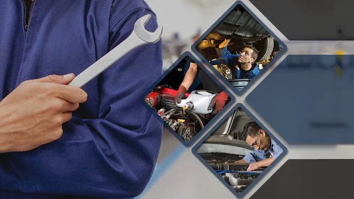 Purrfect Auto Service 9
