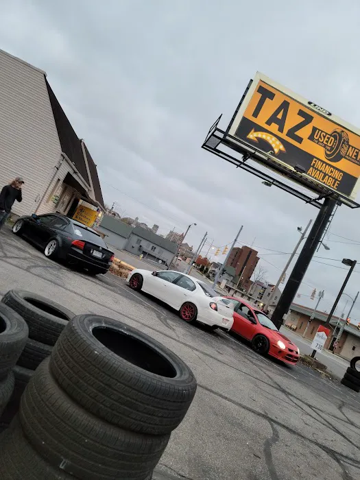 Taz Tires 0