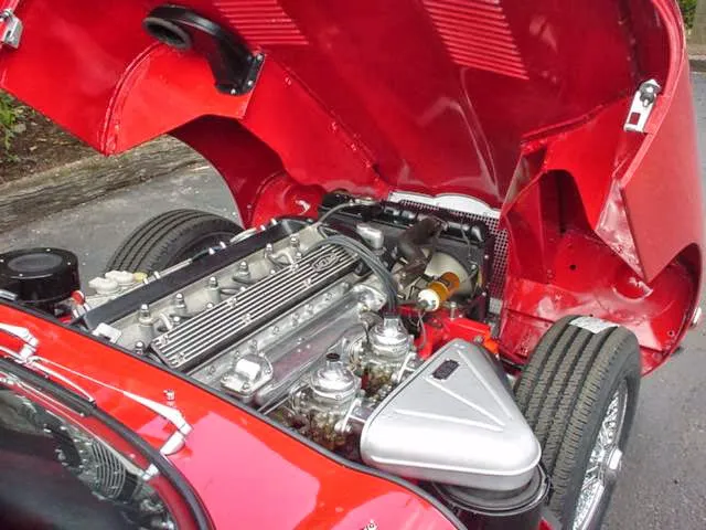 Specialty Sports Cars 6