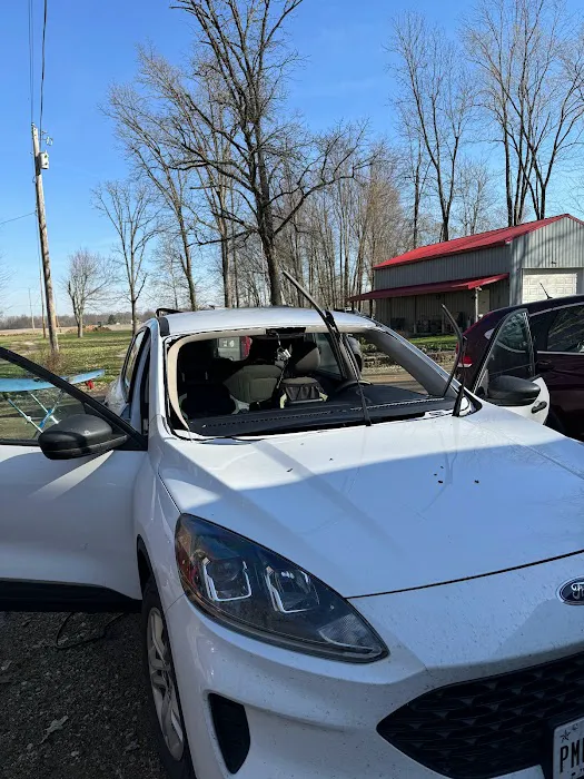 Best Quality Auto Glass 4