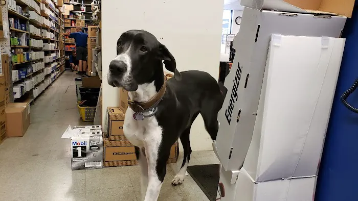NAPA Auto Parts 0