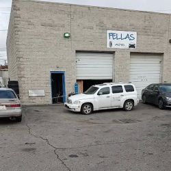 Fellas ico