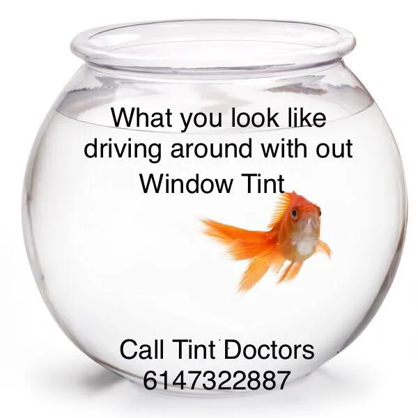Tint Doctors LLC 6