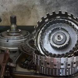 Xenia Transmission Services ico