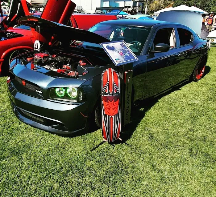 3G Customs 5