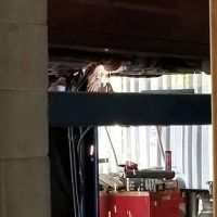 Waverly Quick Lube & Car Care