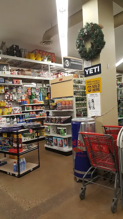 AutoZone Auto Parts 2