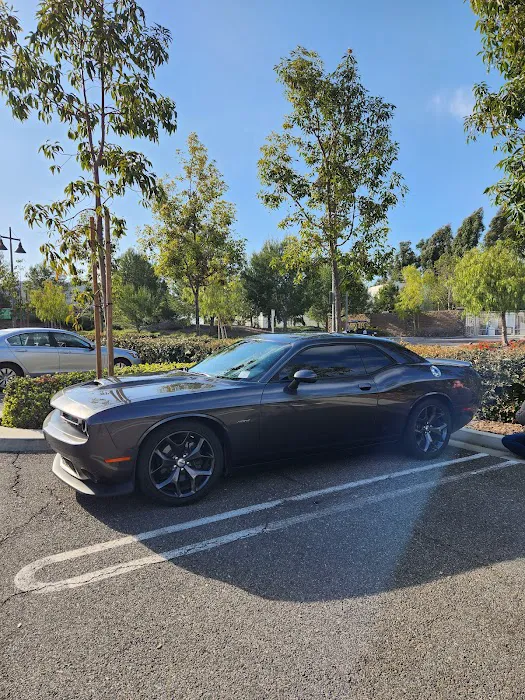A Terrific Tint 9