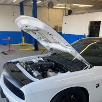 Definitive Performance LLC
