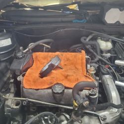 Spicy Lemon Auto Repair ico