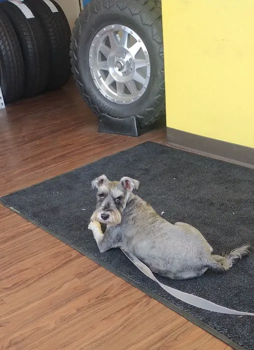 International Tire Center 4