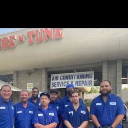 The Tune Up Clinic ico