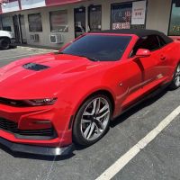 7 Days Window Tint