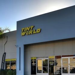 Tint World ico