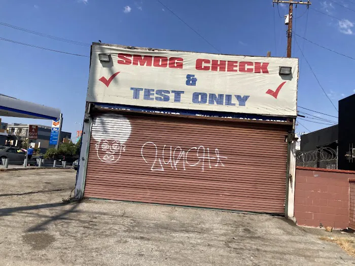Smogs Just Smogs Inc III 3