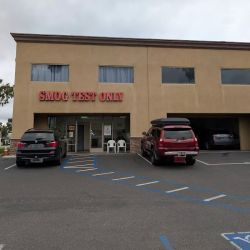 Smog Test Only ico
