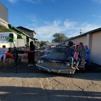 Zoo Automotive