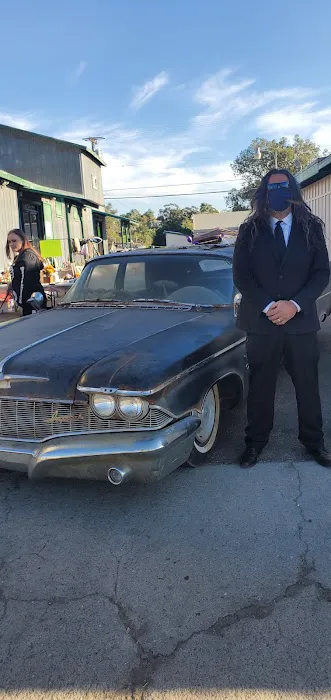 Zoo Automotive 6