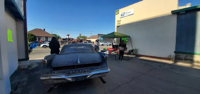 Zoo Automotive 8