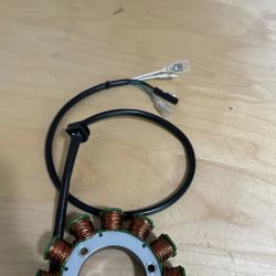 Ricky Stator ico