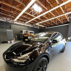 Tesla Tinting SD ico