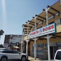Pacific auto glass