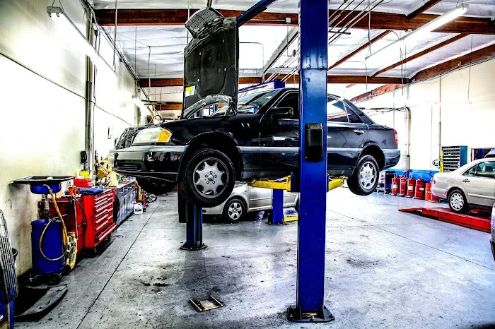 Import Auto Specialists 7