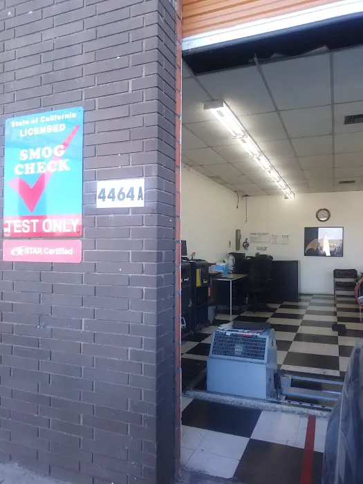 7Stars Smog Test Only 7