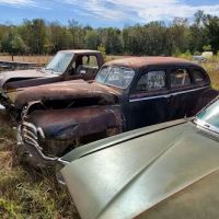 Ivy Bluff Auto Salvage