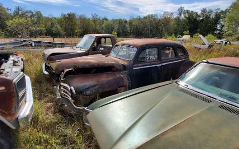 Ivy Bluff Auto Salvage