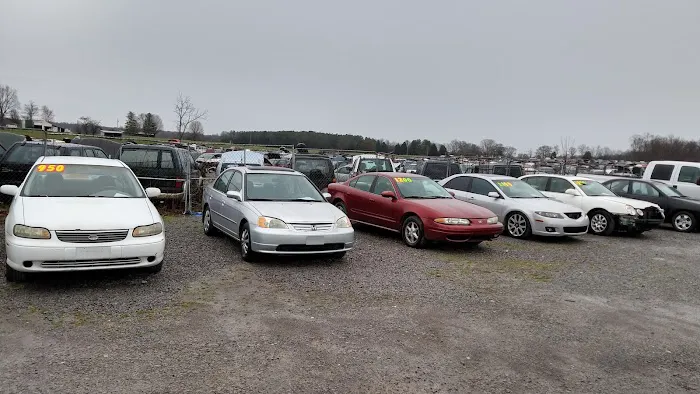 Ivy Bluff Auto Salvage 4