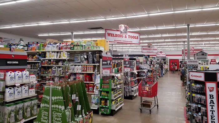 AutoZone Auto Parts 5