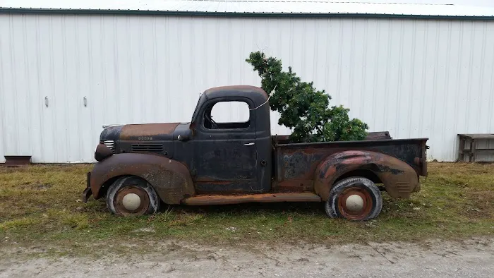 Peper's Garage 5