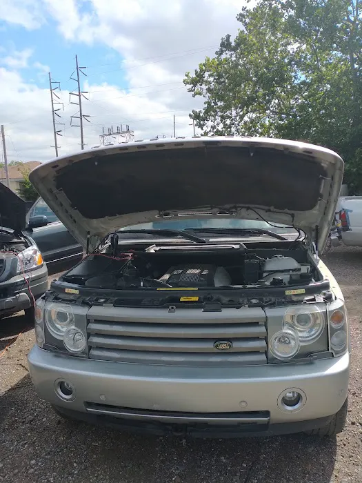 Fully Committed Auto and Details 6