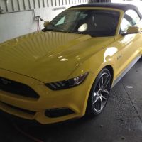 GoodLuck Detail & Restoration