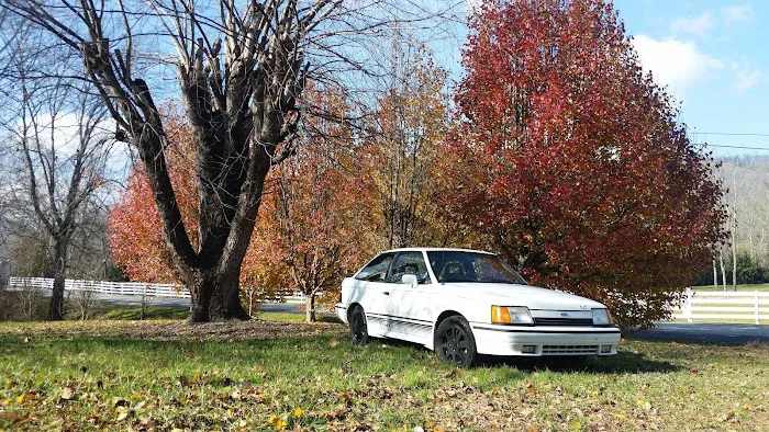 GoodLuck Detail & Restoration 4