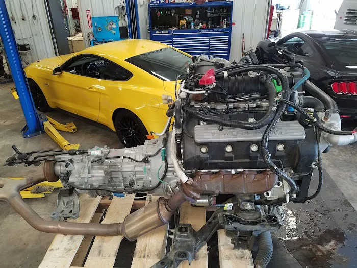 East Coast Mustangs 8