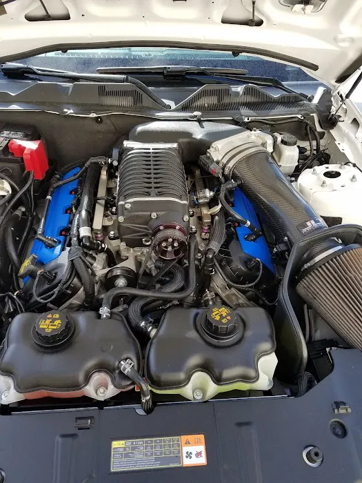 East Coast Mustangs 7