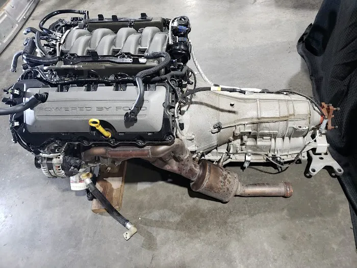 East Coast Mustangs 2