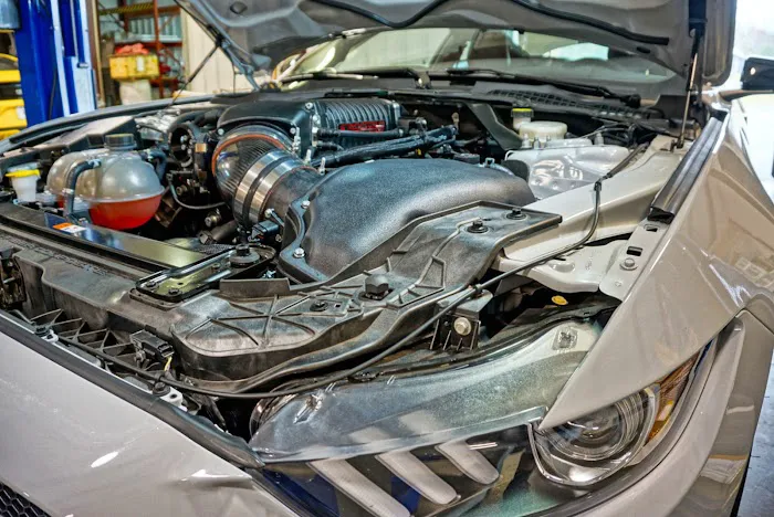 East Coast Mustangs 6