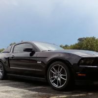 East Coast Mustangs