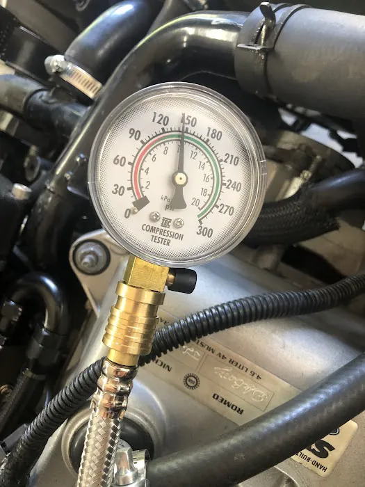 East Coast Mustangs 5