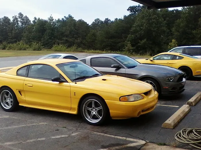 East Coast Mustangs 1