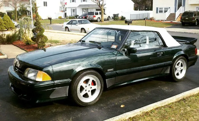 East Coast Mustangs 9