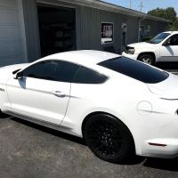 The Tint Shop