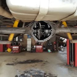 Rogers Tire N Auto Inc ico