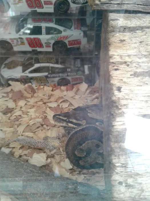 Rogers Tire N Auto Inc 6