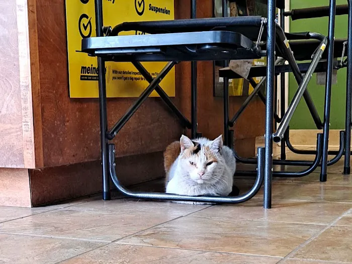 Meineke Car Care Center 7