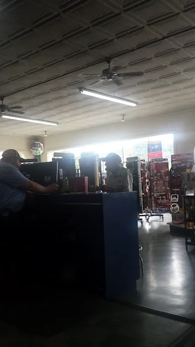 NAPA Auto Parts - Holston Auto Parts 0